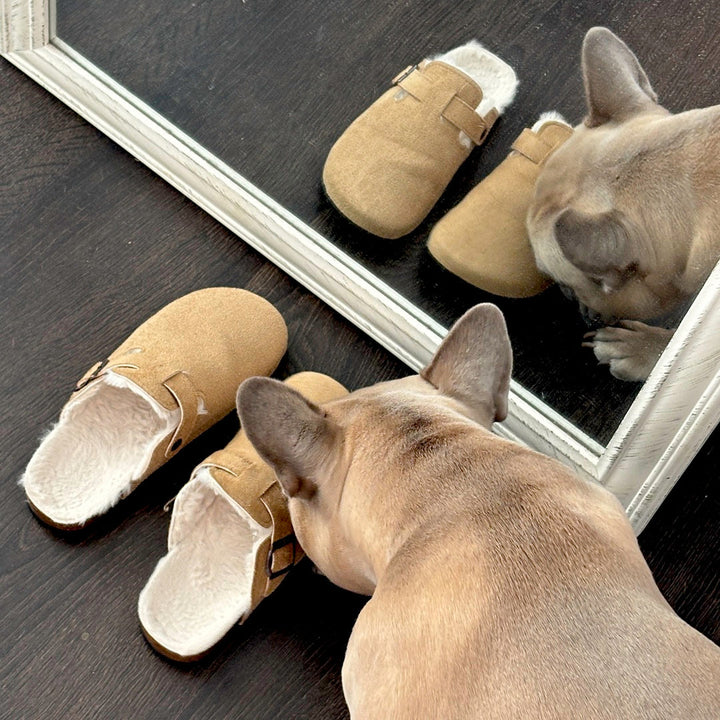 Plushley™ Suede Clogs with Faux Fur Lining and Cork Footbed